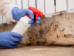 Trusted Pepeekeo, HI Mold Inspection Experts